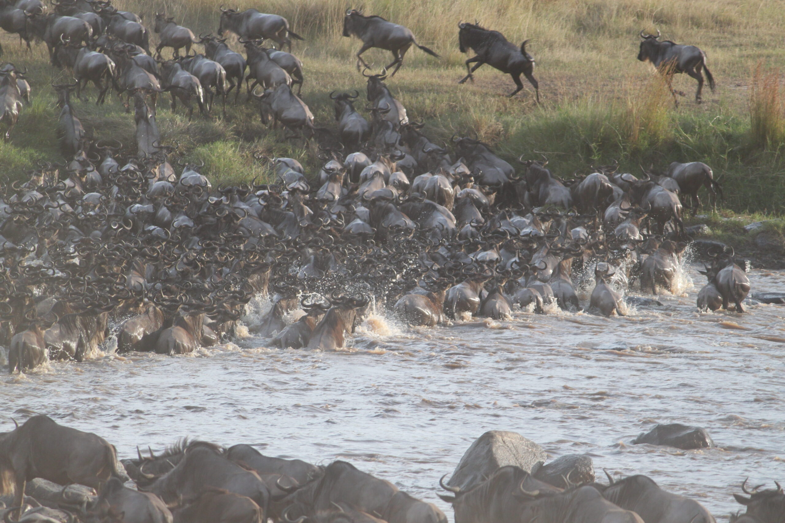 8-Day Migration River Crossing (Private lodge)