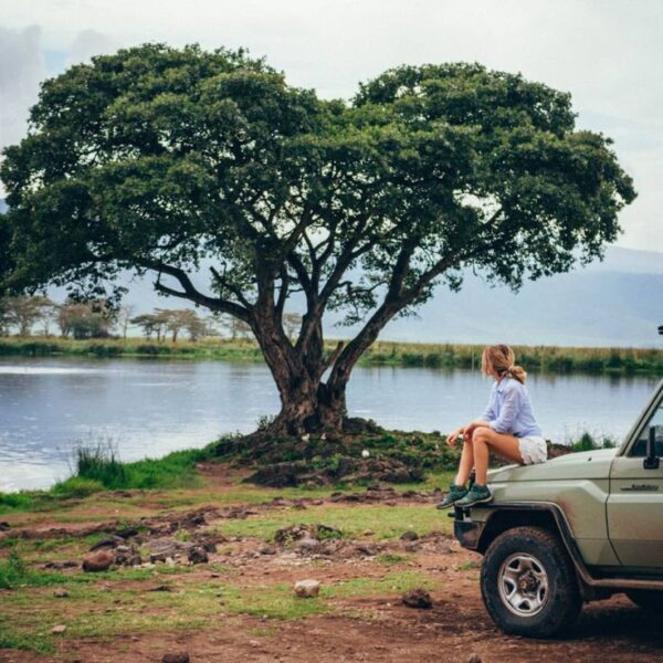 Ngorongoro